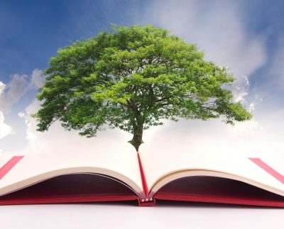 Historia y principios de la Educación Sostenible