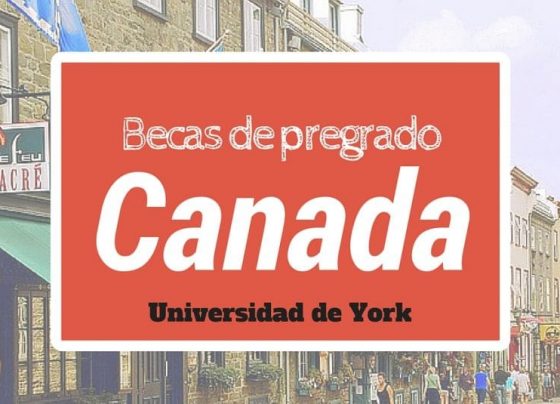 Becas automáticas al momento de aplicar para pregrado en Canadá – York University
