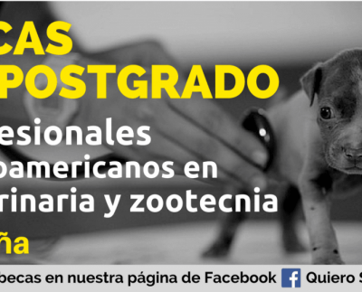 Becas para profesionales en veterinaria y zootecnia en España