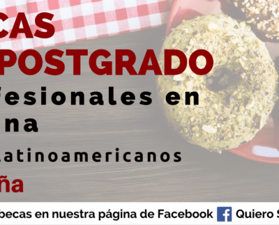 Becas en España para profesionales en cocina y seguridad alimentaria