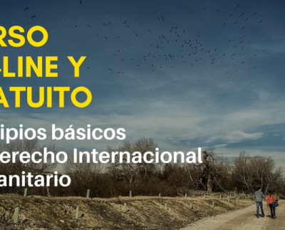 Curso online normas y principios básicos DIH – CICR