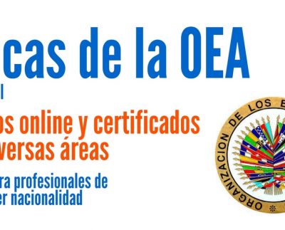 Becas de la OEA para cursos online certificados en diferentes áreas