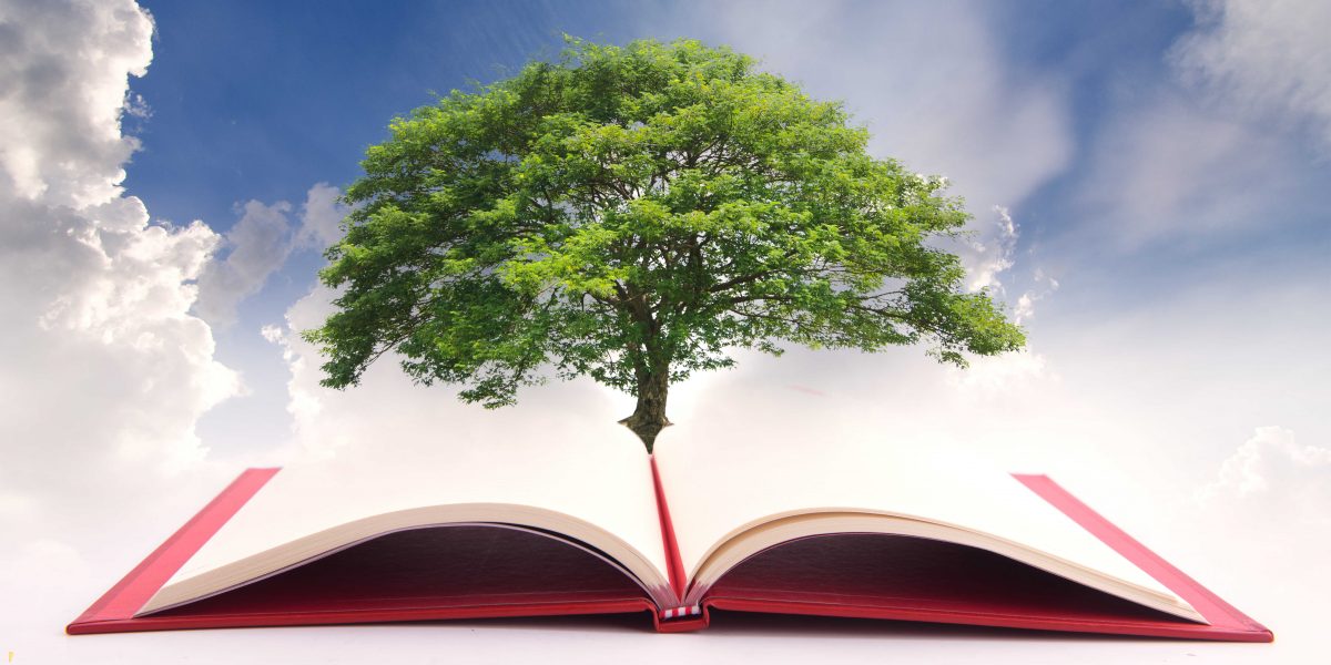 Historia y principios de la Educación Sostenible