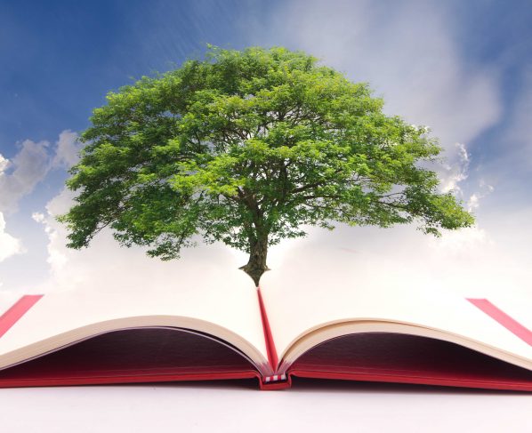 Historia y principios de la Educación Sostenible