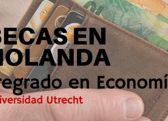Becas en Holanda para cursar pregrado en economía