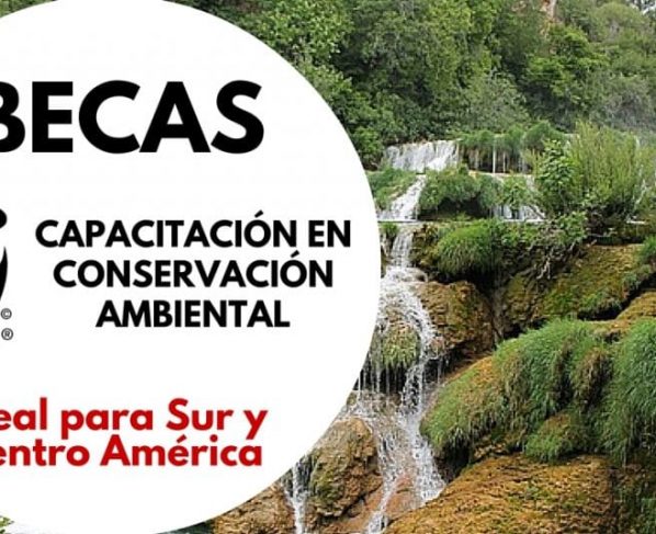 Becas de la WWF en Conservación Ambiental para Latinoamericanos