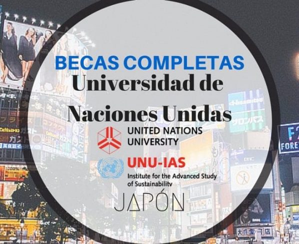 Universidad de Naciones Unidas ofrece Becas completas en sostenibilidad