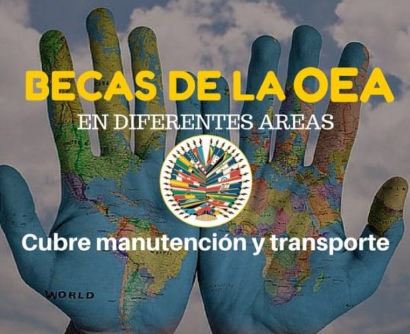 Programa de becas de la OEA – incluye matrícula, alimentación, manutención y pasajes.