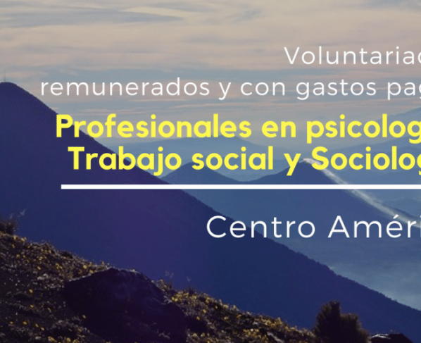 Voluntariado remunerado para profesionales en psicología, sociología y trabajo social.