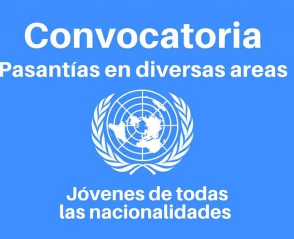 Convocatoria para pasantías con las Naciones Unidas para jóvenes de diferentes profesiones