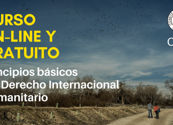 Curso online normas y principios básicos DIH – CICR