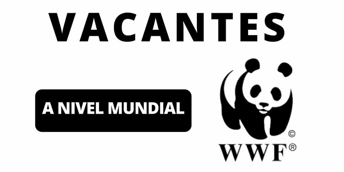 Convocatorias con la WWF para ambientalistas y amantes de animales de todo el mundo