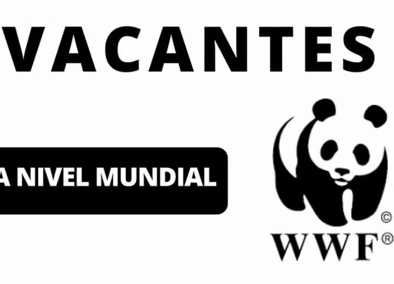 Convocatorias con la WWF para ambientalistas y amantes de animales de todo el mundo