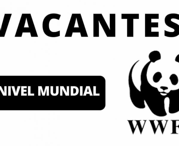 Convocatorias con la WWF para ambientalistas y amantes de animales de todo el mundo