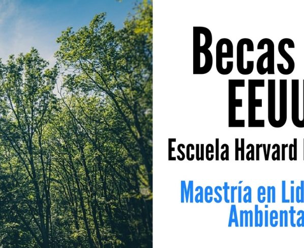 Becas en Estados Unidos para cursar maestría en liderazgo ambiental en Harvard