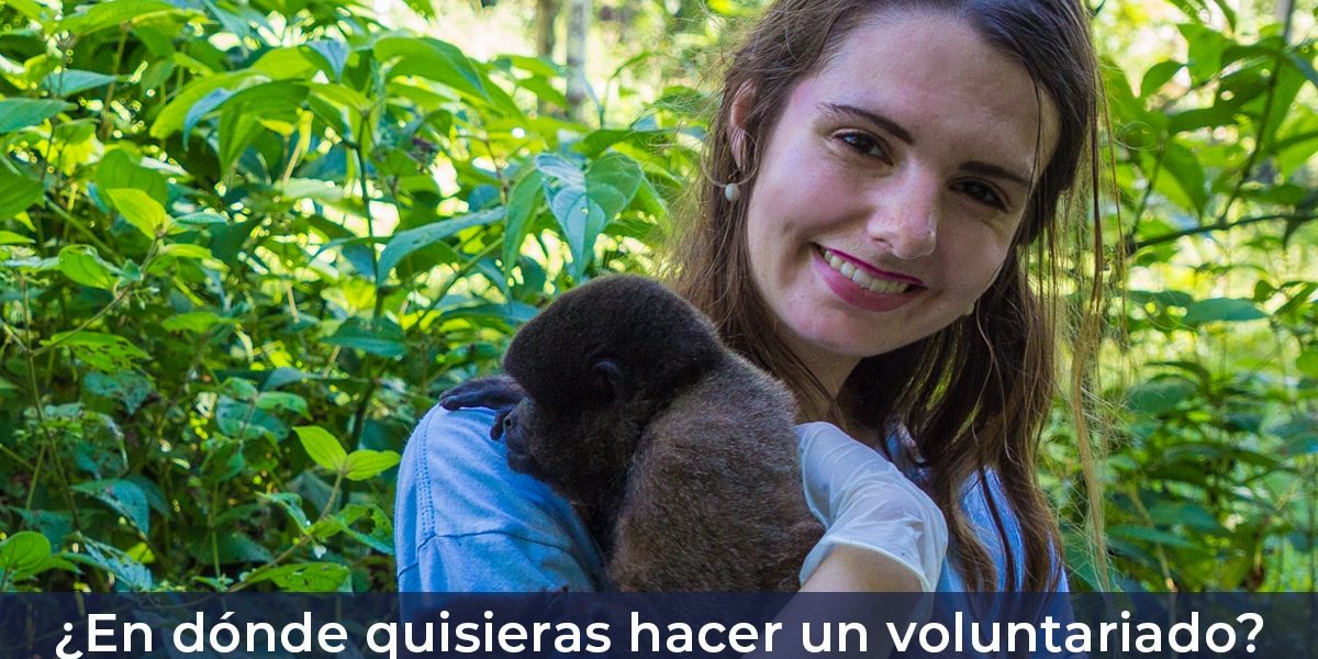 En dónde quisieras hacer tu voluntariado?