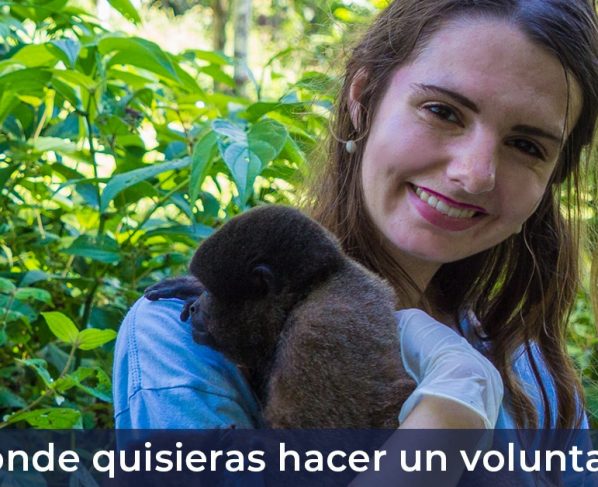 En dónde quisieras hacer tu voluntariado?