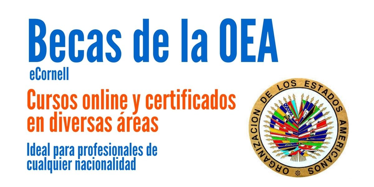 Becas de la OEA para cursos online certificados en diferentes áreas