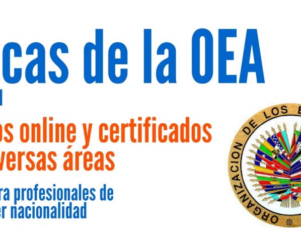 Becas de la OEA para cursos online certificados en diferentes áreas
